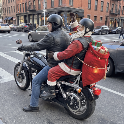 Sleigh Rider