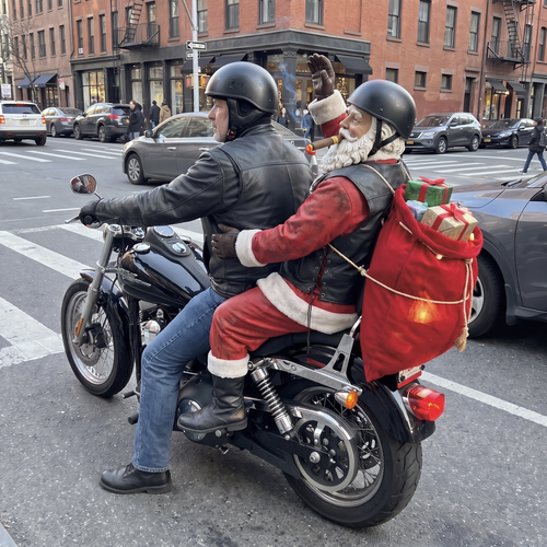 Sleigh Rider